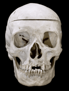 El papel de un antropólogo forense