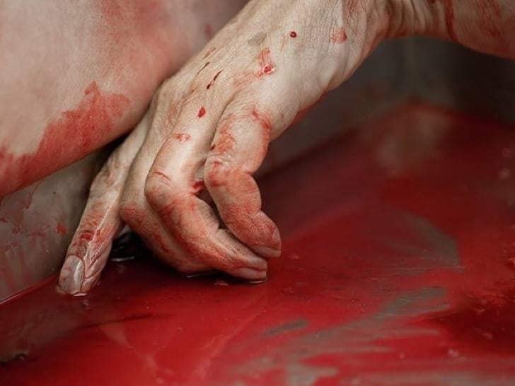 El papel de un antropólogo forense