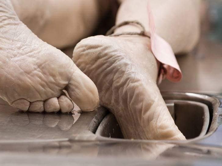 El papel de un antropólogo forense