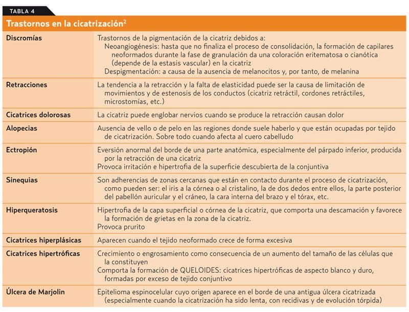 cicatrizacion quemadura