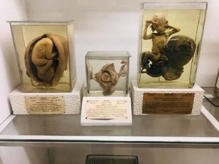 3 morgue juficial